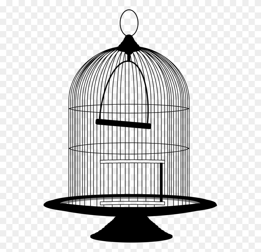 559x750 Скачать Birdcage - Cage Clipart Black And White