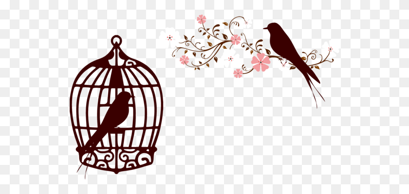 554x340 Birdcage Parrot Lovebird - Bird Cage Clipart