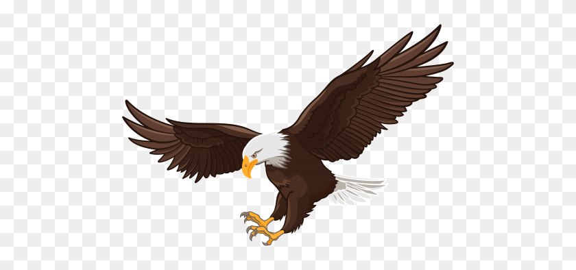 500x334 Imágenes Prediseñadas De Aves, Arte Y Águila - Imágenes Prediseñadas De Las Águilas De Filadelfia En Blanco Y Negro