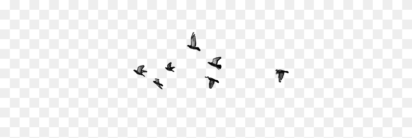 400x222 Birds, Cute, Fly, Overlays, Transparent, Tumblr Cute - Flock Of Birds PNG
