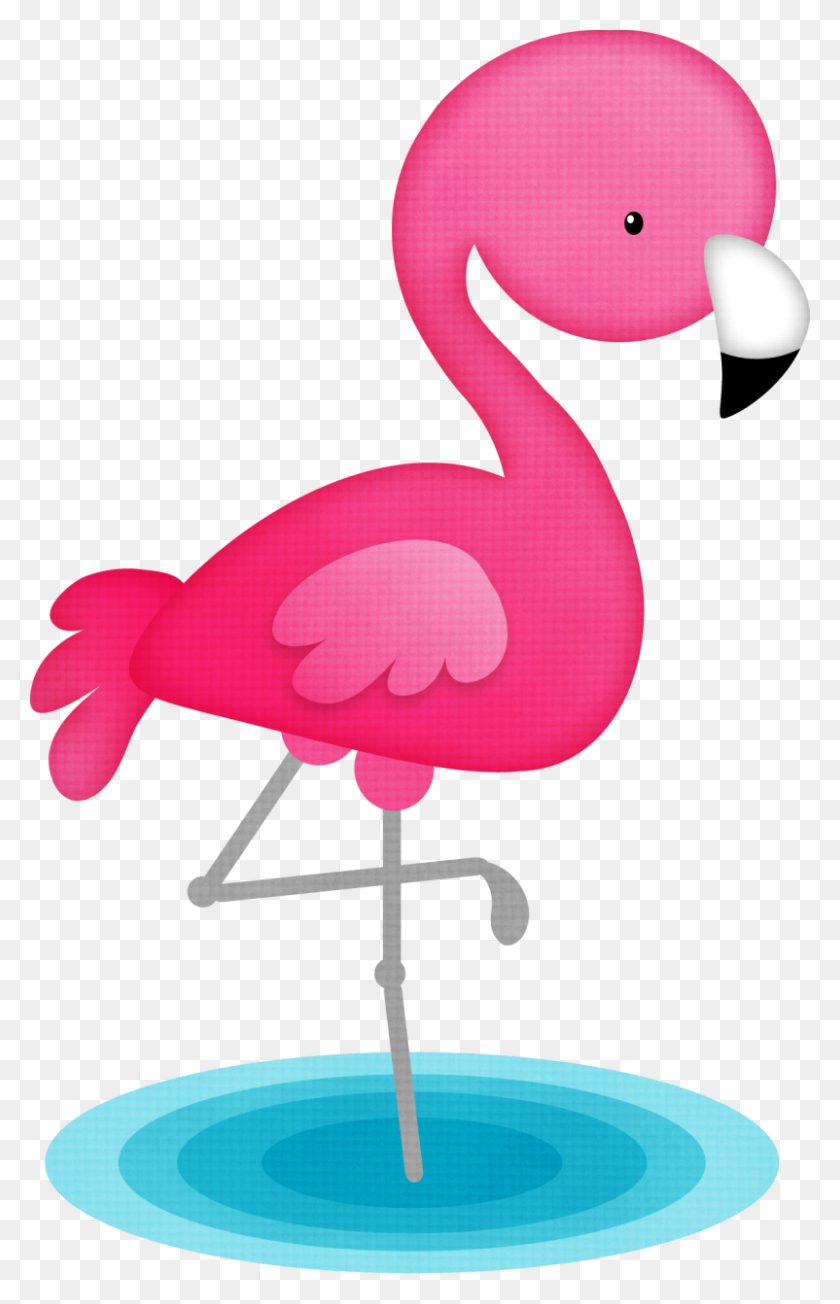 802x1280 Pájaros Flamingo, Clip - Pink Flamingo Clipart