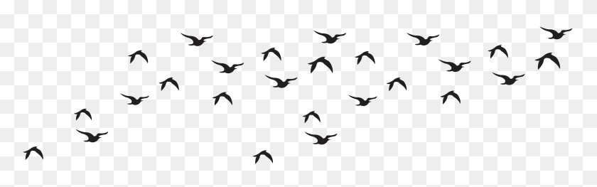 8000x2087 Birds Flock Silhouette Clip Art - Poinsettia Clipart Black And White Free