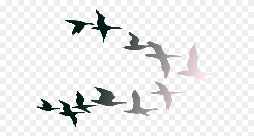 600x392 Birds Flying Clipart - Flies Clipart Black And White