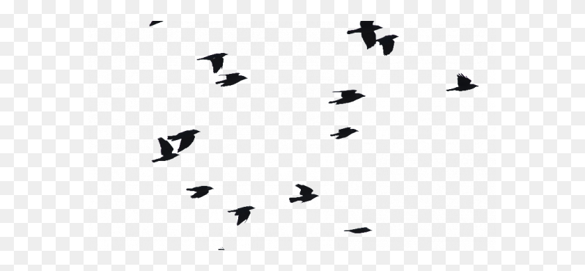 585x329 Birds Flying Png Bird Flight Clip Art Png Transparent Picture - Coloring Pages PNG