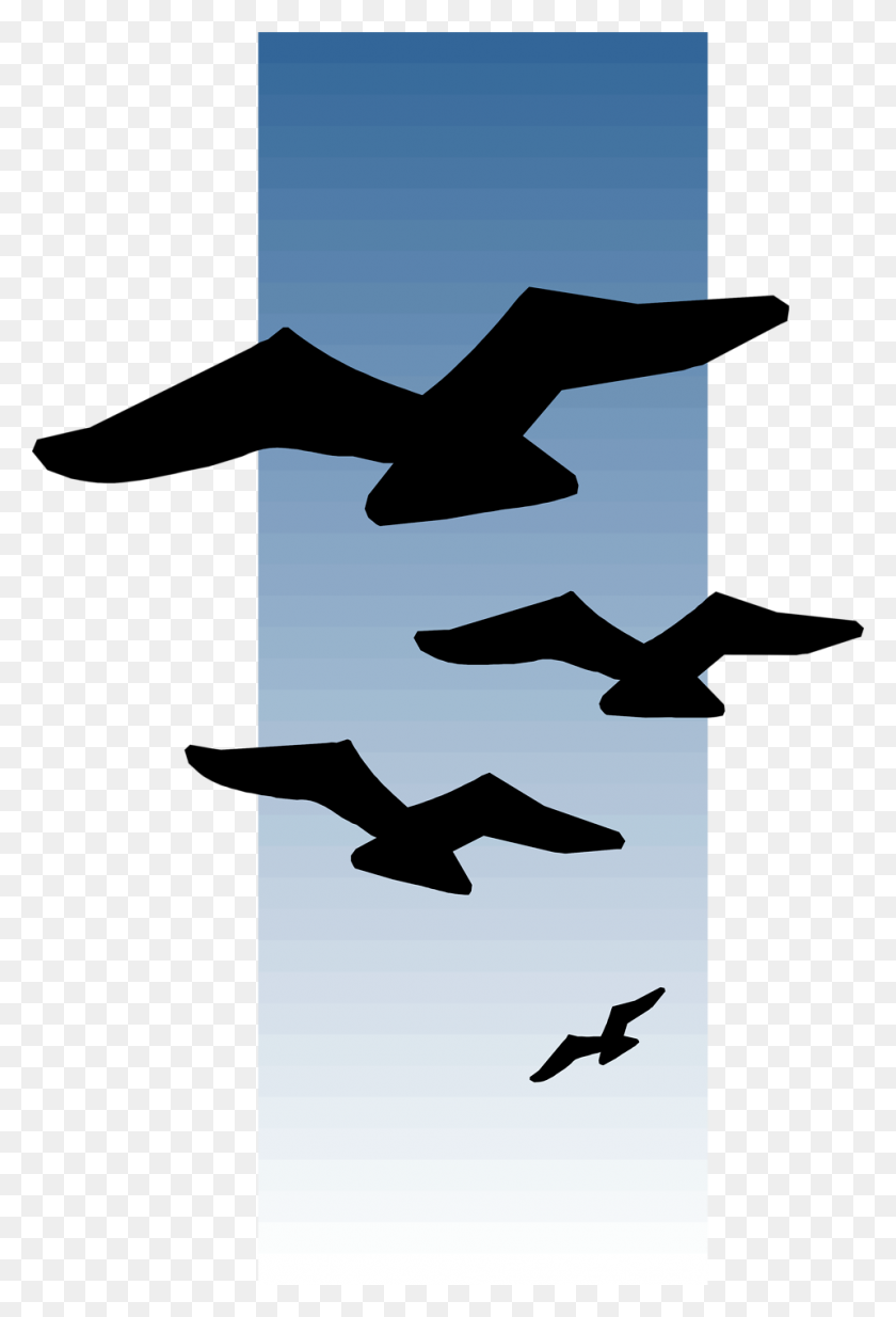 958x1443 Птицы Бесплатно Фото Иллюстрация Летящих Силуэтов Птиц - Голубое Небо Png