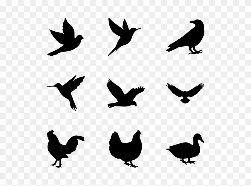 600x564 Birds Icon Packs - Flock Of Birds PNG