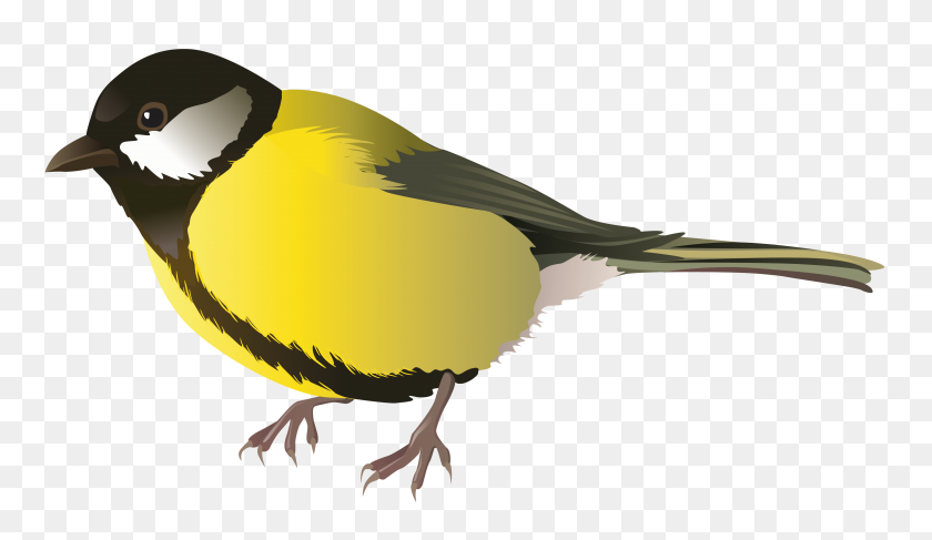 3970x2178 Aves Png