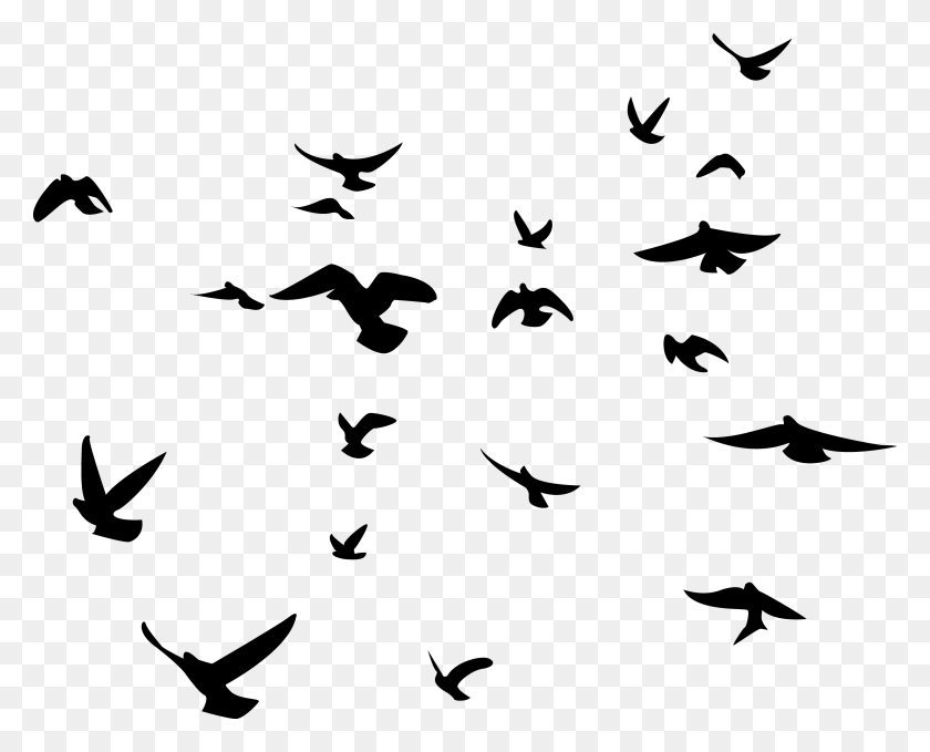 3456x2746 Birds Png Images Free Download, Birds Png - Doves Flying PNG
