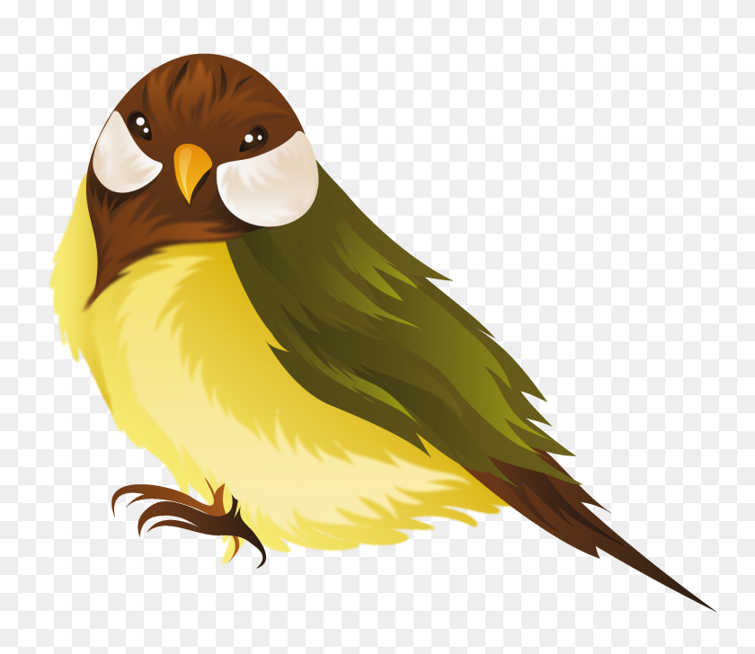 2252x1931 Aves Png / Aves Png
