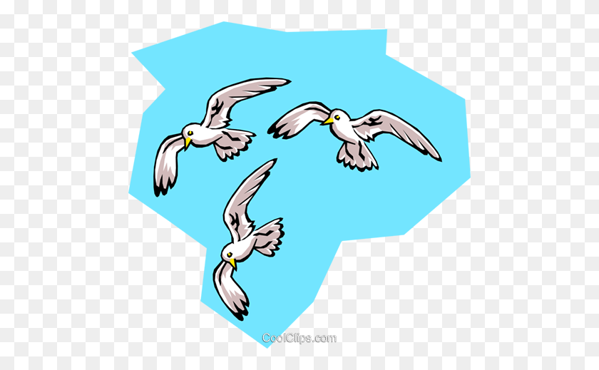 480x459 Birds, Seagulls Royalty Free Vector Clip Art Illustration - Seagull Clipart