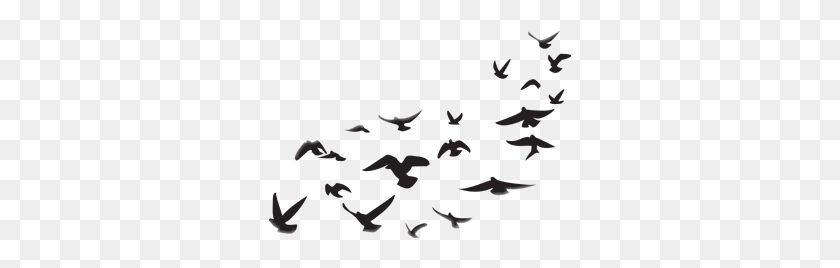 302x208 Birds Tumblr Png Migration Sticker - Flock Of Birds PNG