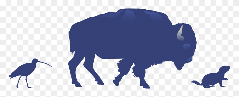3320x1208 Bison - Bison PNG