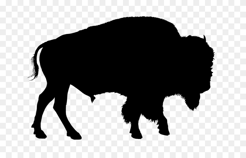 724x480 Bisonte, Silueta, Búfalo, Fotos De Animales De La Granja Y El Bosque - Bison Clipart