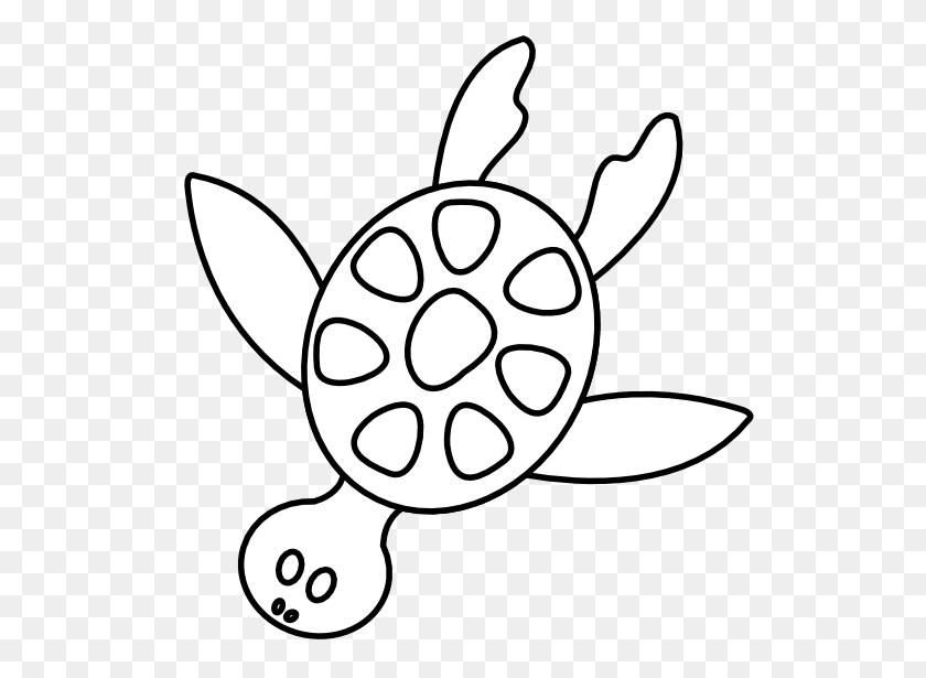 555x555 Black And White Animal Clipart - Turtle Clipart Black And White