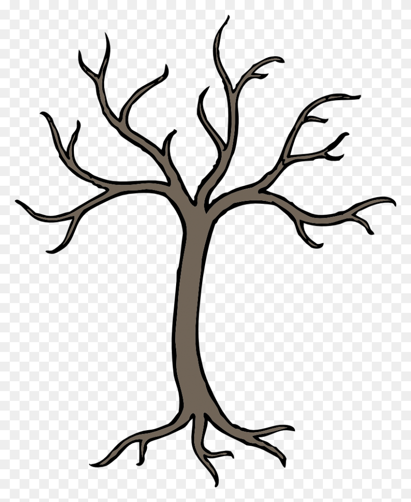 806x1000 Black And White Bare Tree Clipart - Cypress Tree Clipart