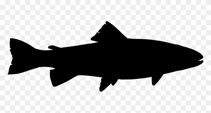 960x480 Black And White Clipart Of A Silhouette Of A Fish - Fishing Black And White Clipart