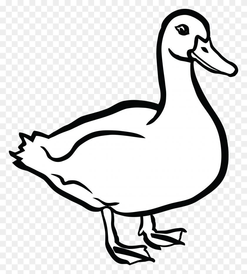 4000x4479 Black And White Duck Clipart Clip Art Images - Temple Clipart Black And White