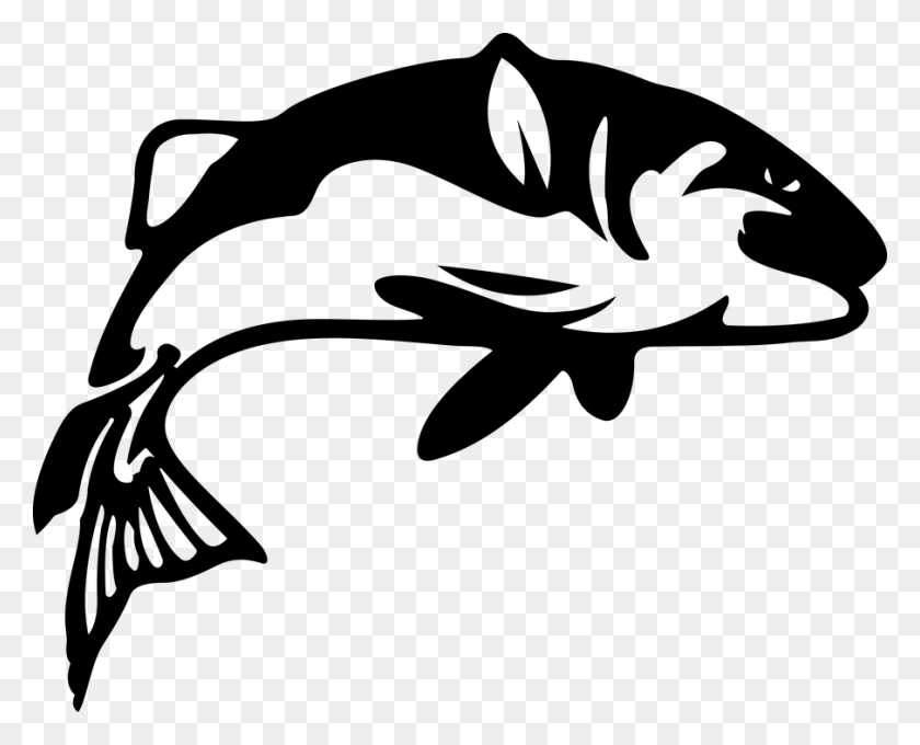 905x720 Черно-Белая Рыба Картинки Галерея Изображений - Betta Fish Клипарт