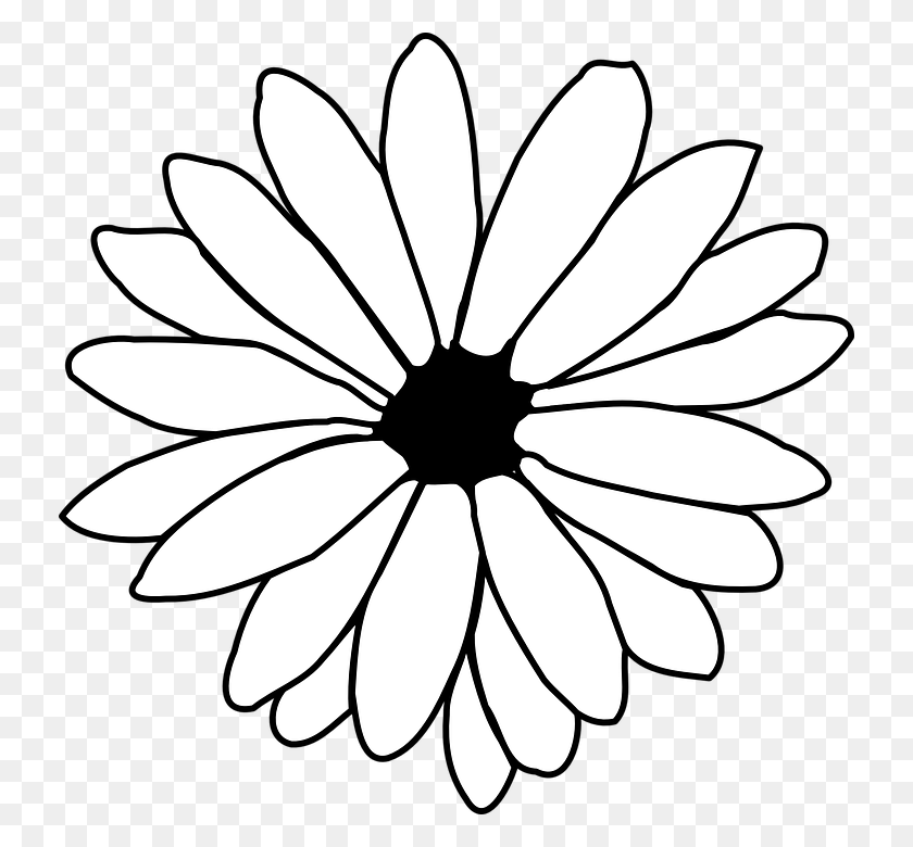 732x720 Black And White Flower Outline Gallery Images - Hawaiian Flower Clipart Black And White