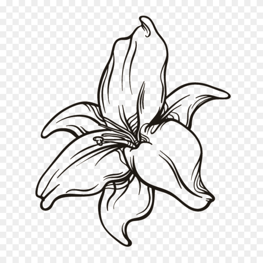 1024x1024 Black And White Flower Png Transparent Free Png Download Png - Black Flower PNG