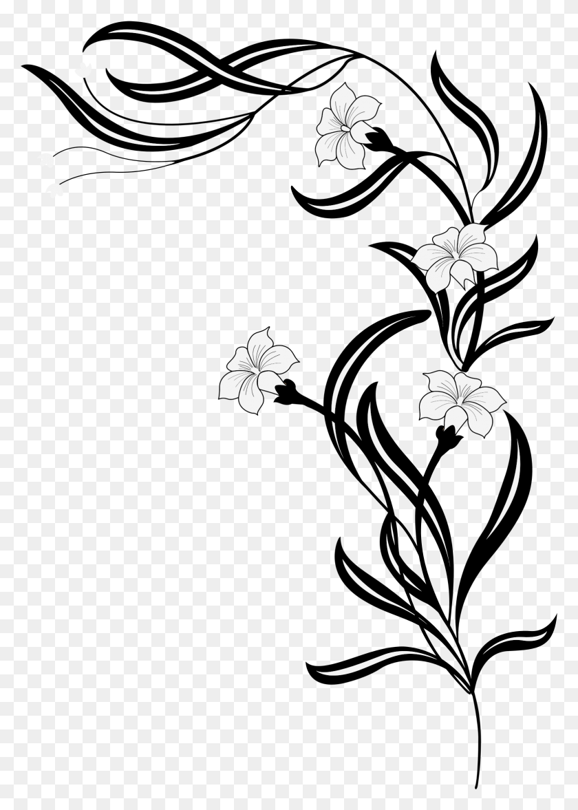 1556x2229 Flores En Blanco Y Negro Imágenes De Flores En Blanco Y Negro Hd - Sampaguita Clipart