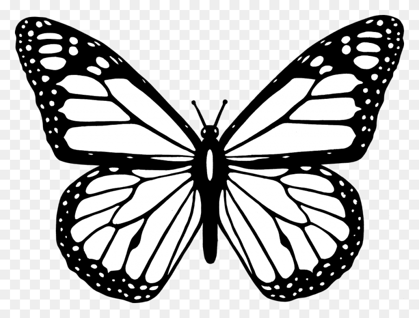 960x711 Черно-Белые Горизонтальные Бабочки Клипарт Изображения - Масляный Клипарт Черный И Белый