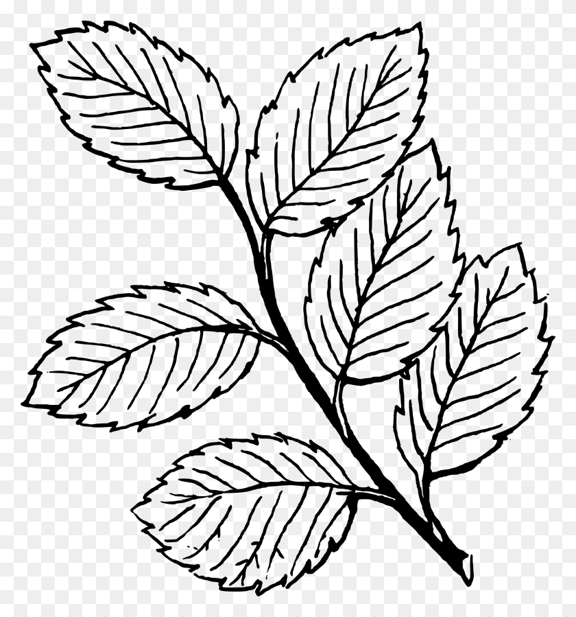 2231x2400 Black And White Leaves Clipart Group With Items - Rake Clipart Black And White
