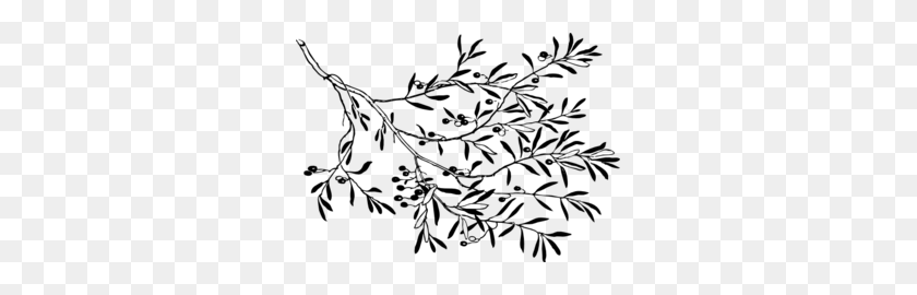 297x210 Black And White Olive Branch Clip Art - Tree Branch Clipart Black And White