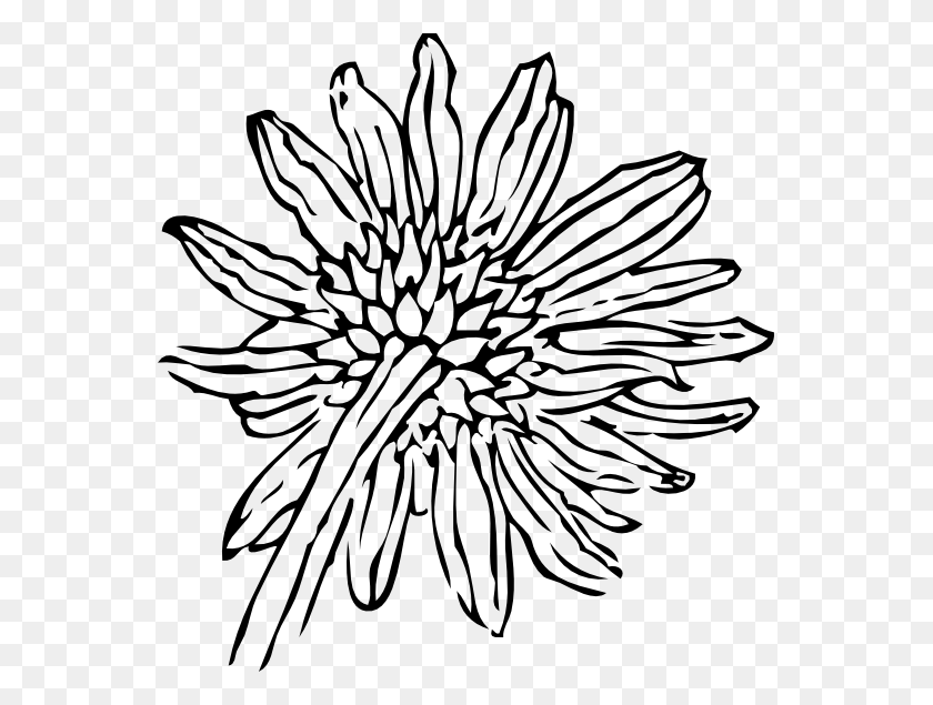 555x575 Black And White Sunflower Clip Art - Black And White Sunflower Clipart
