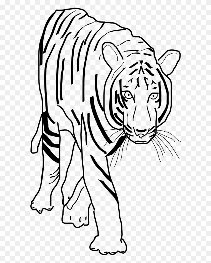 600x987 Black And White Tiger Clip Art - Walking Clipart Black And White