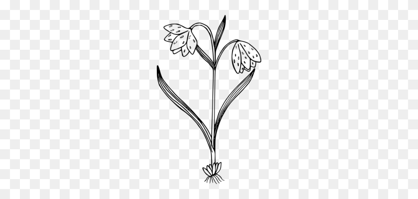 210x340 Черно-Белые Растения Флоры Полевых Цветов - Леопард Клипарт