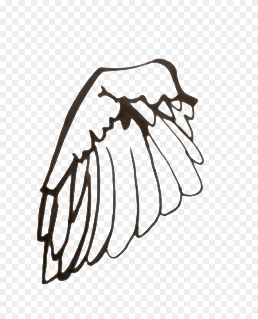 736x978 Black And White Wings - Wing Clipart Black And White