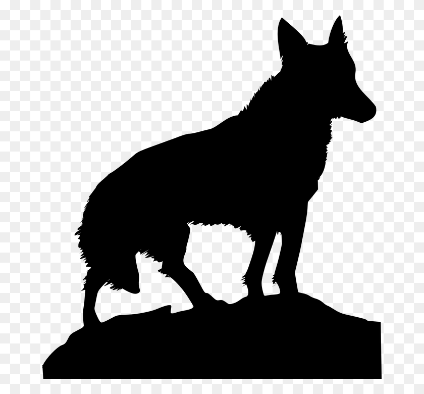 672x720 Black And White Wolf Png Transparent Black And White Wolf - Fox Clipart Black And White