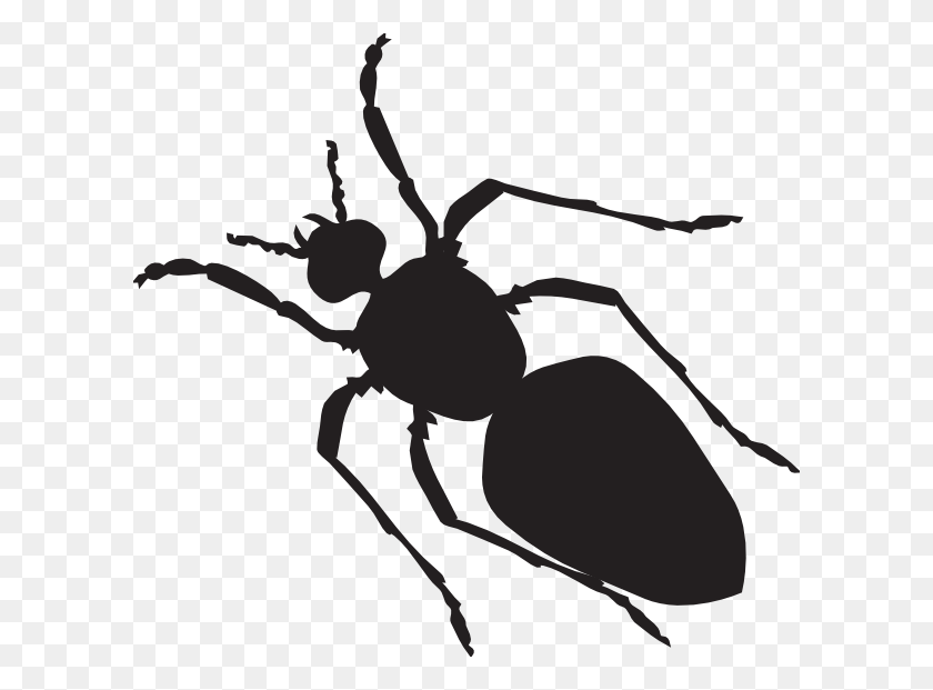 600x561 Black Ant Silhouette Clip Art - Body Clipart Black And White