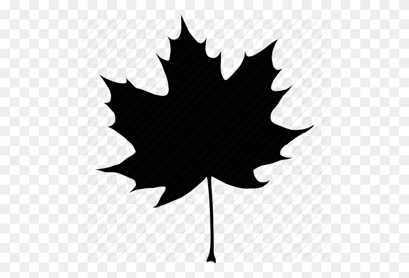 512x512 Черный, Осень, Канада, Канадский, Осень, Лист, Клен, Значок Дерева - Клен Png