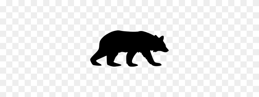 256x256 Значок Черный Медведь - Черный Медведь Png