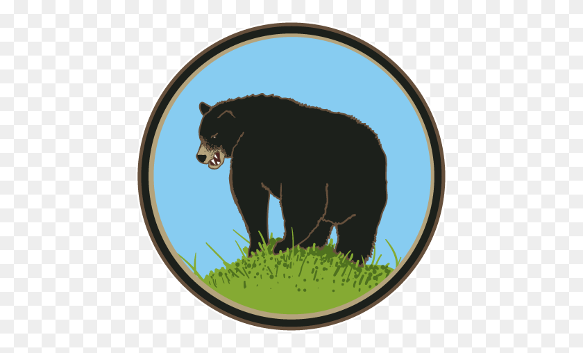 449x448 Black Bear's Butt Old Rock Coffee - Black Bear PNG