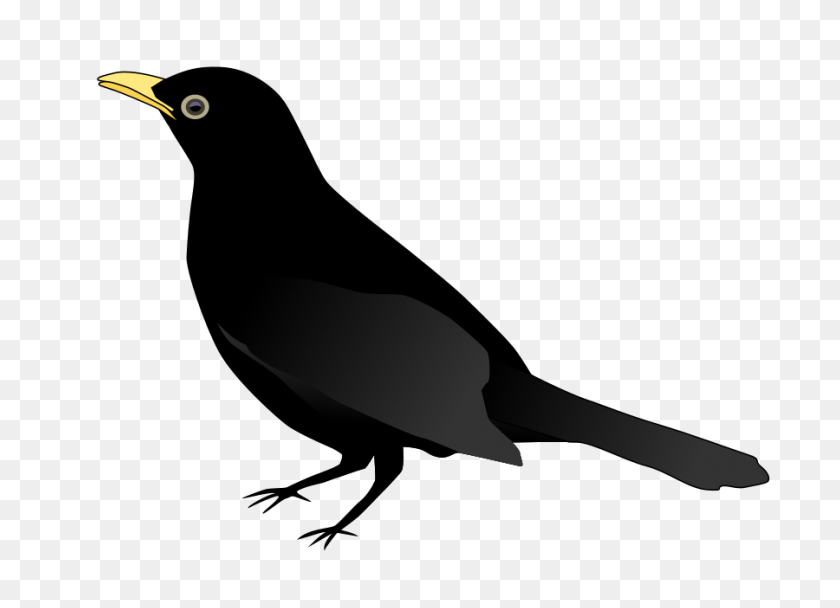 900x633 Imágenes Prediseñadas De Pájaro Negro - Silueta De Imágenes Prediseñadas De Pájaro
