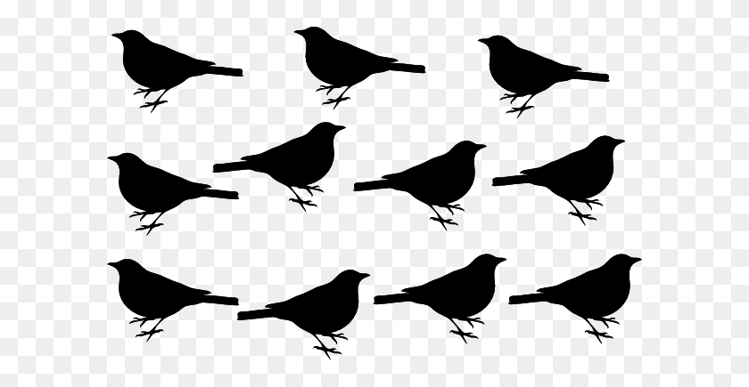 600x375 Black Blackbirds White Background Clip Art - Still Life Clipart