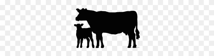 260x160 Black Calf Clipart - Cows PNG