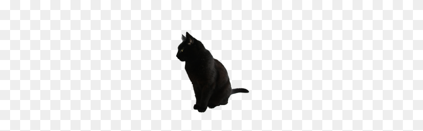 192x202 Black Cat Png - Black Cat PNG