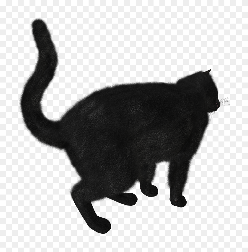 1490x1520 Black Cat Png Image - Cat Tail PNG