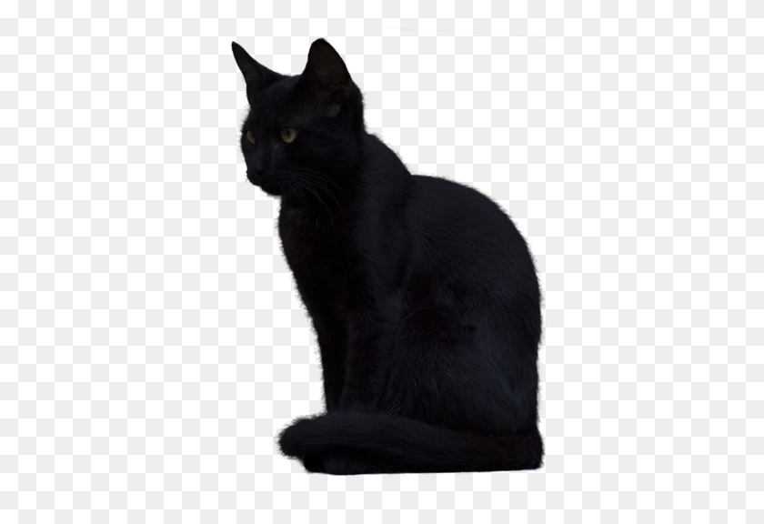 400x516 Black Cat Png Picture - Black Cat PNG