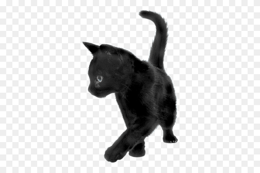 314x500 Black Cat Sideview Transparent Png - White Cat PNG