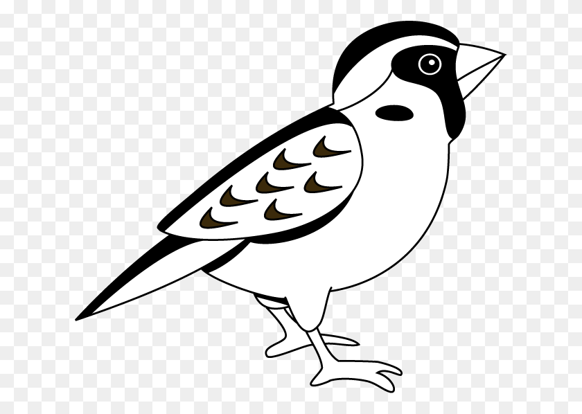 624x538 Black Clipart Sparrow - Feather Black And White Clipart