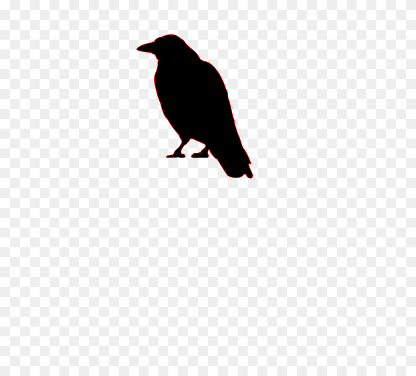 495x700 Ilustración De Cuervo Negro - Clipart De Cuervo Negro