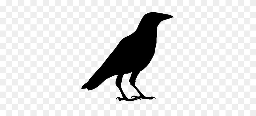 316x320 Silueta De Cuervo Negro Imágenes Prediseñadas De Pájaro Volador Imagen Png - Imágenes Prediseñadas De Cuervo Negro