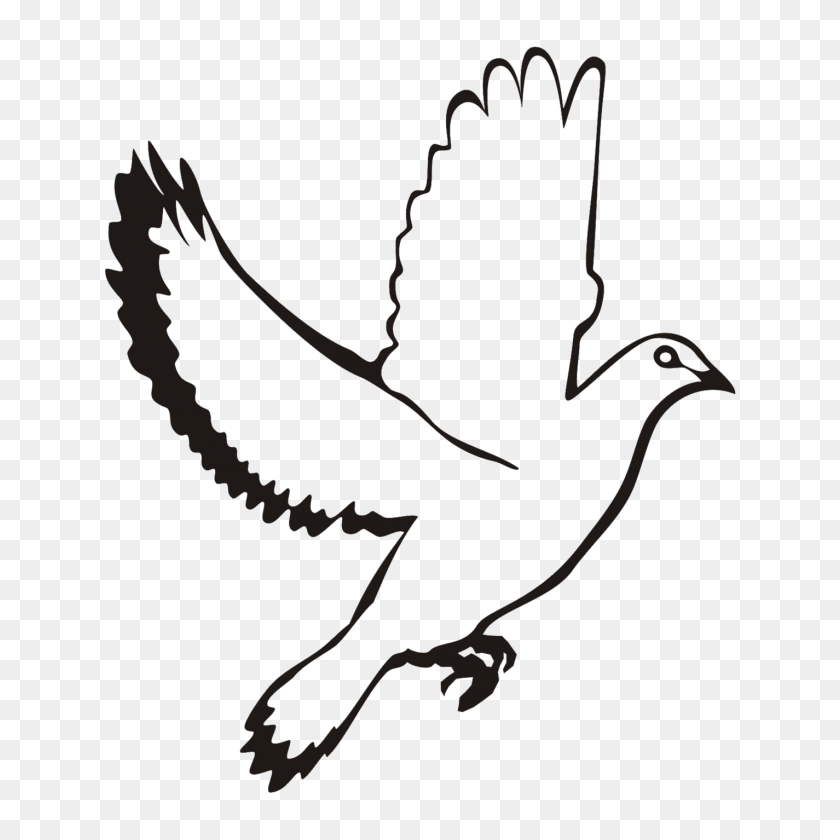1425x1425 Black Dove Cliparts - White Dove Clipart