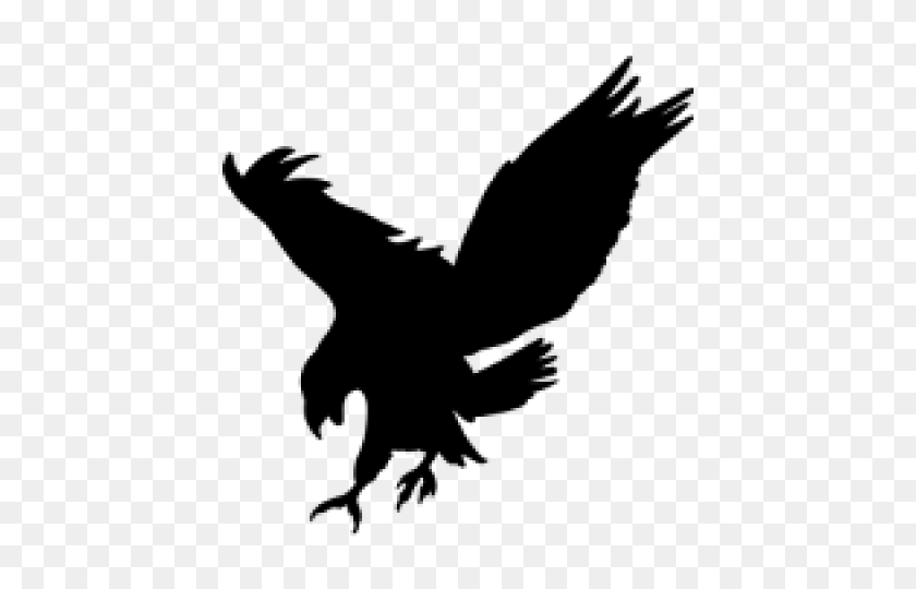 640x480 Black Eagle Clipart - Eagle Feather Clip Art