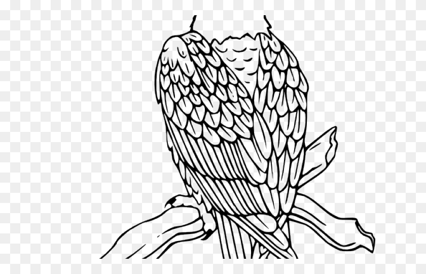 640x480 Черный Орел Клипарт Американский Орел - Голова Орла Клипарт